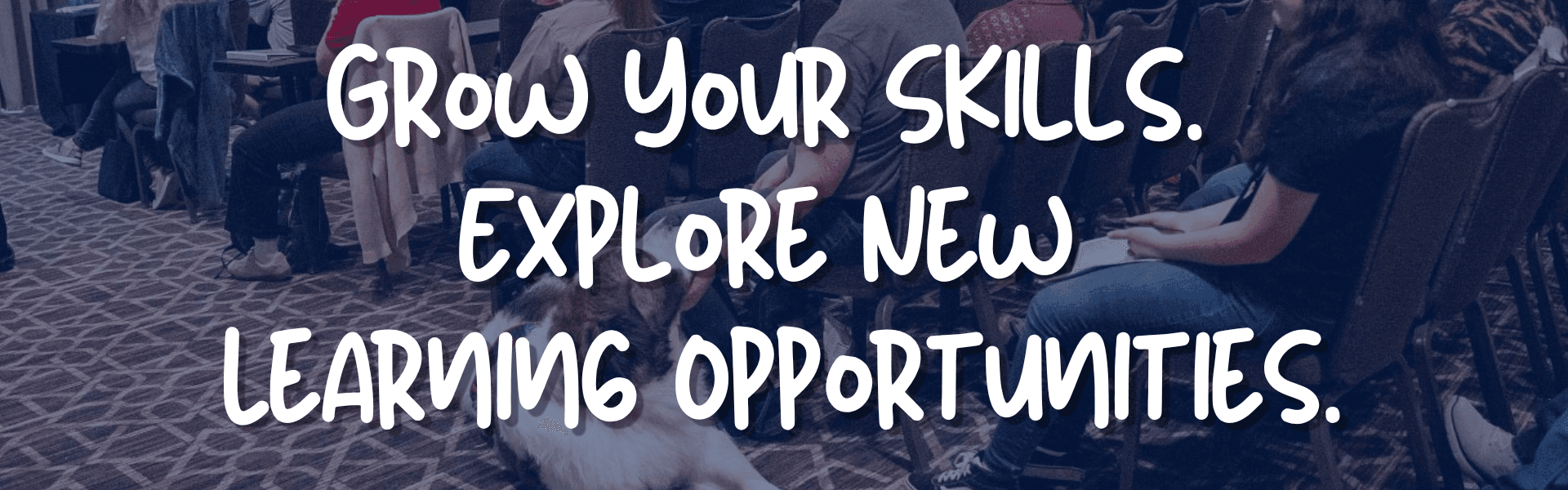 Grow your skills. Explore new opportunities.
